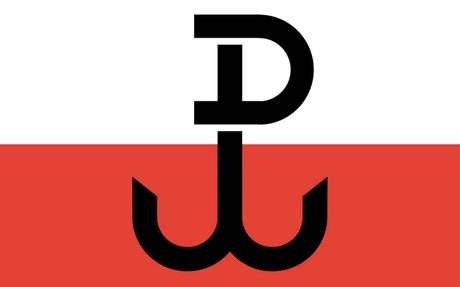 polska walczaca flaga 460